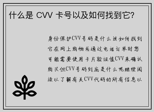 什么是 CVV 卡号以及如何找到它？